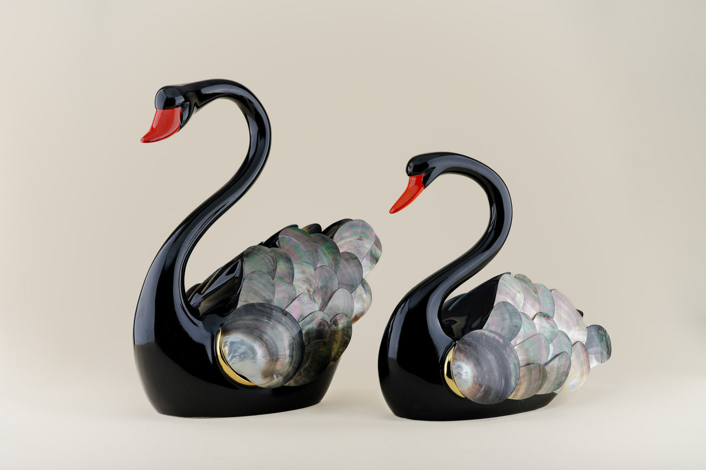 Black Swan with Margaritifera (Pair)