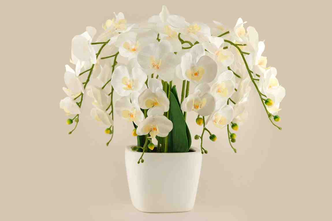 Artificial Real-touch Orchids (Pink)