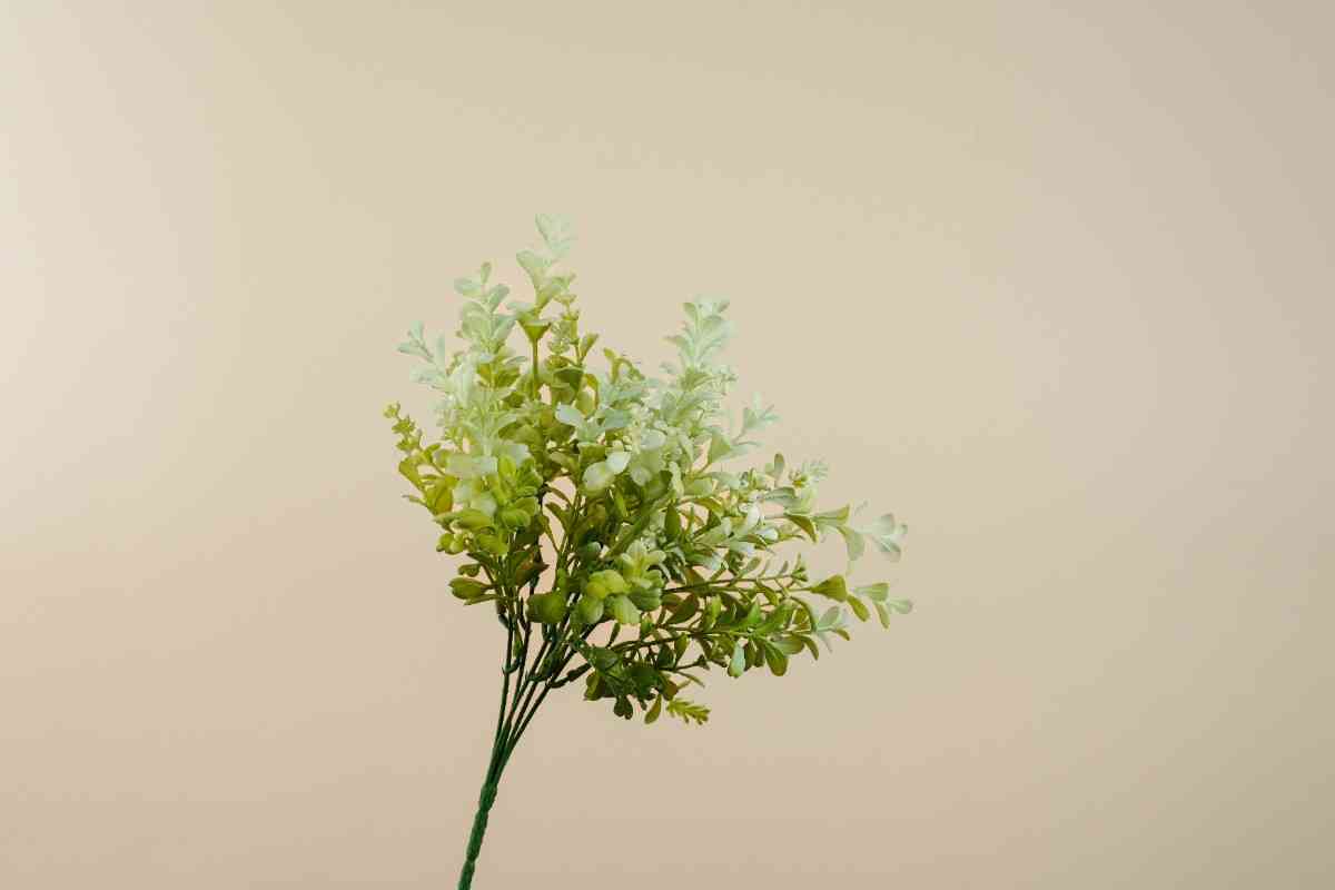 ArtificIal Aglaia Odorata Bunch