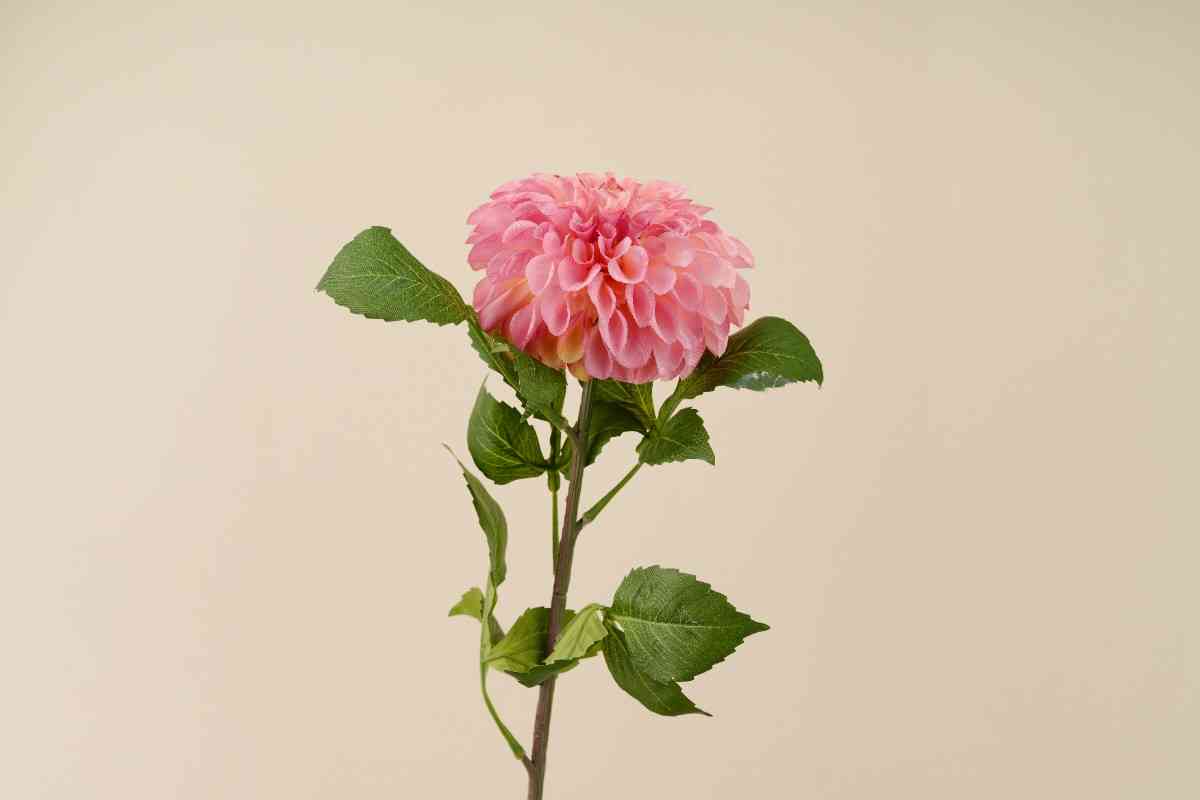 Artificial Dahlia (5 Colors)