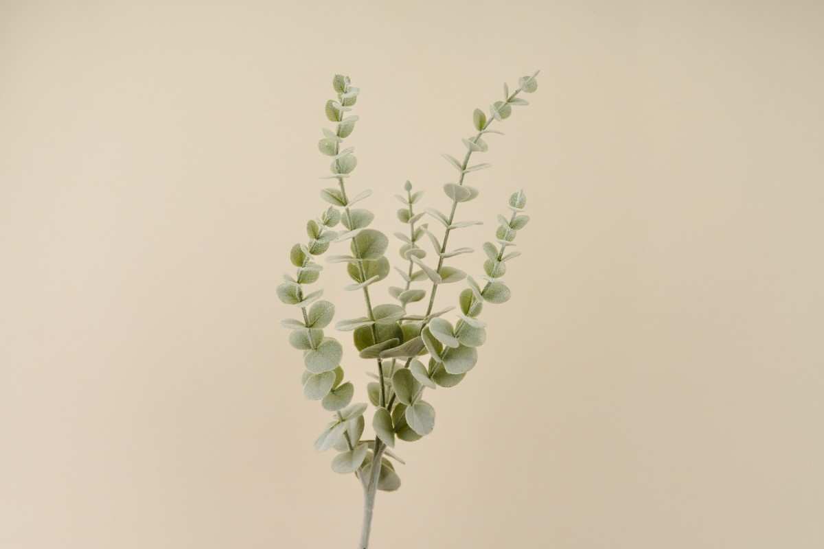 Real-Touch Artificial Small Eucalyptus Stem