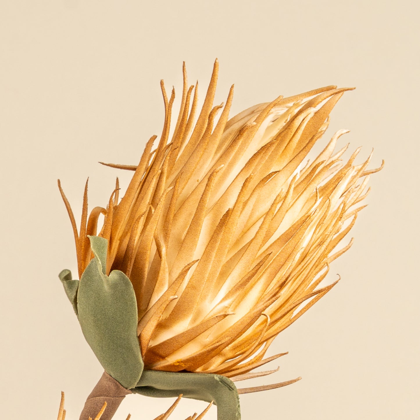 Full moon Protea Faux Foam Flower (Mustard)