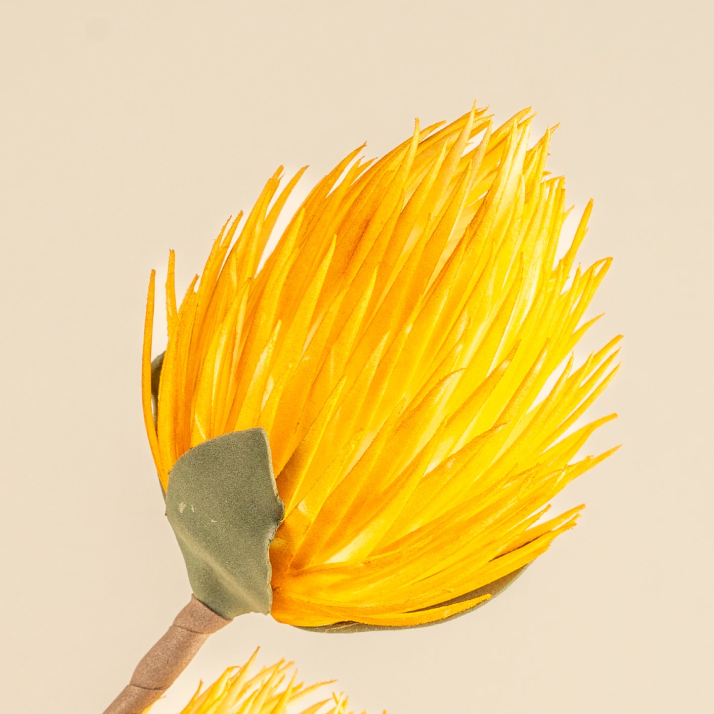 Full moon Protea Faux Foam Flower (Yellow)