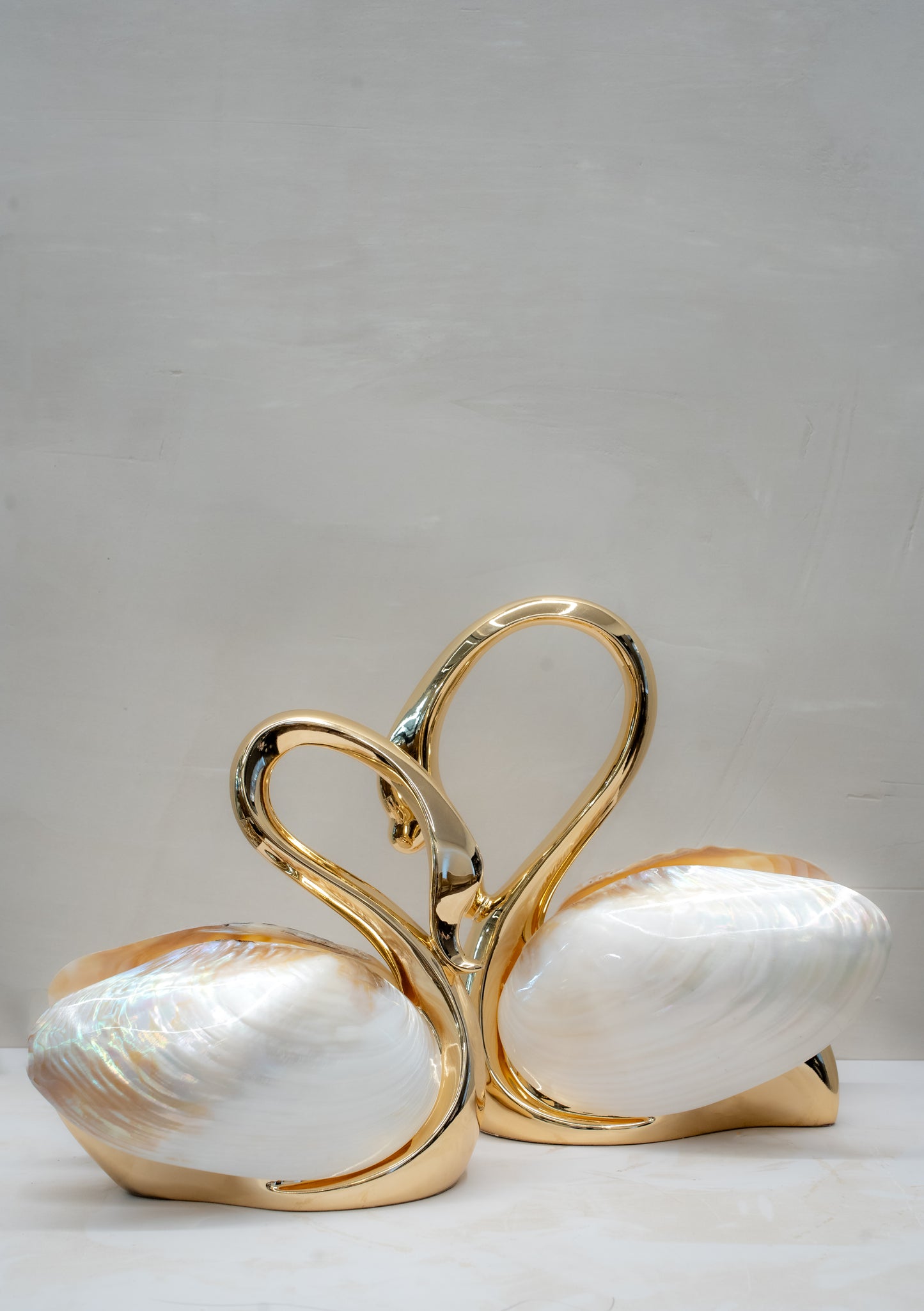 Swan with Freshwater Pearl Mussel