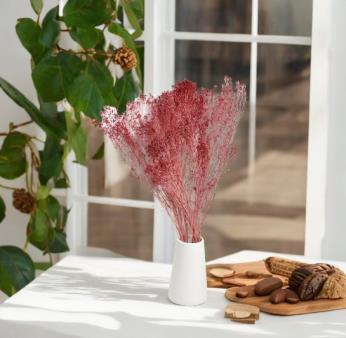 Dried Fuchsia Bloom