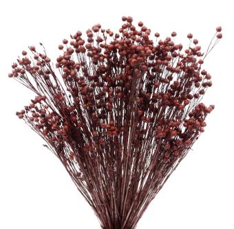 Dried Dark Red Flax