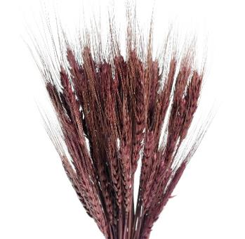 Dried Ble Marron (Brown)