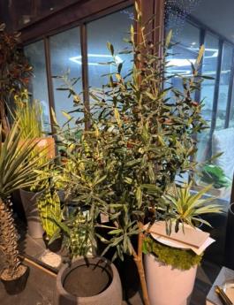 Artifical real-touch Oilve Tree