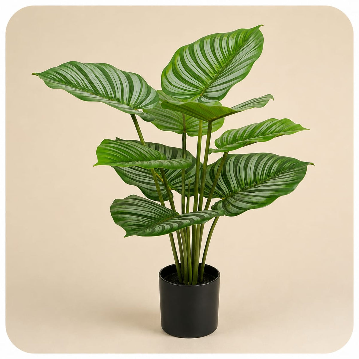 Artificial Striped Money Plant (9 Leaves)