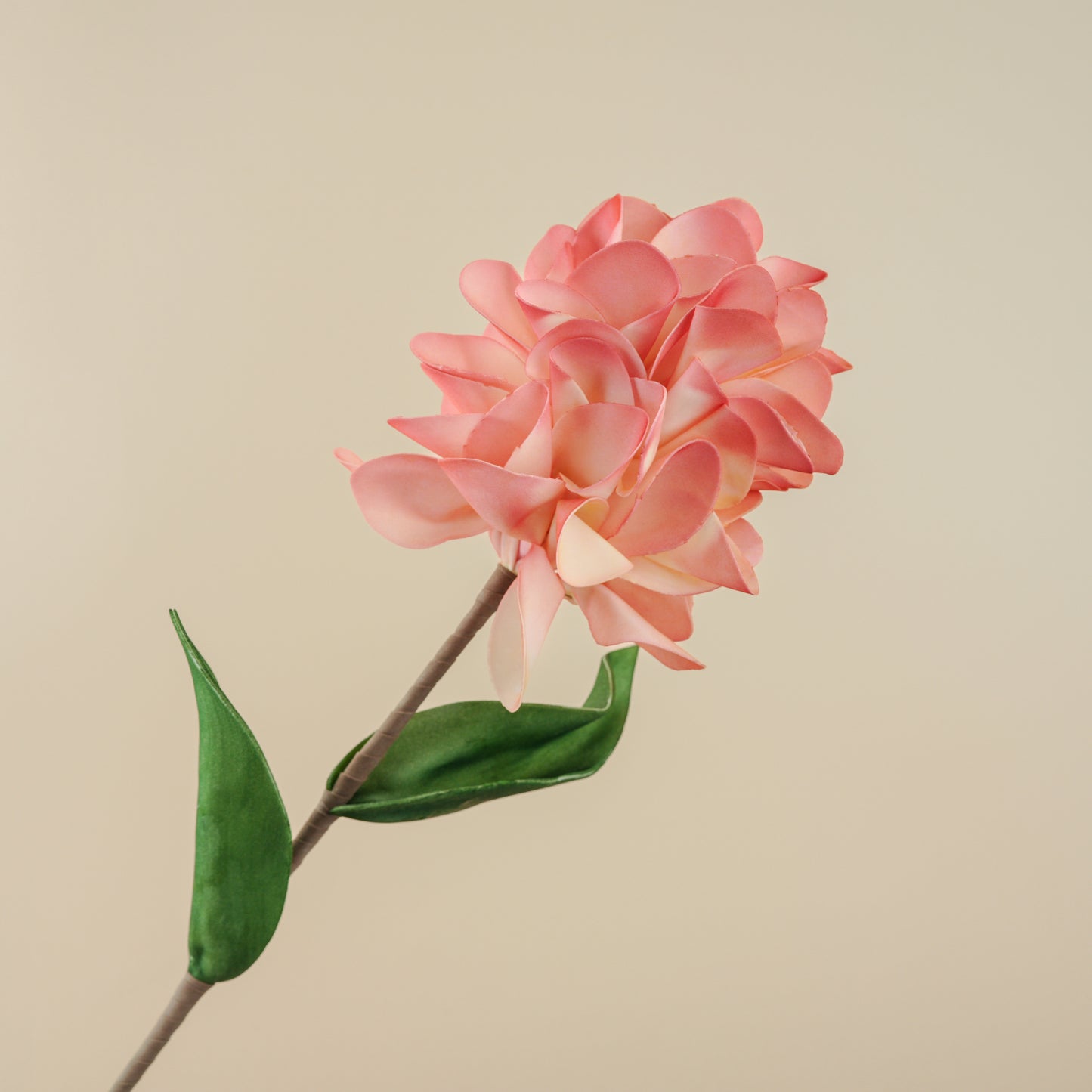 Chrysanthemum Foam Flower (Red & Off White)