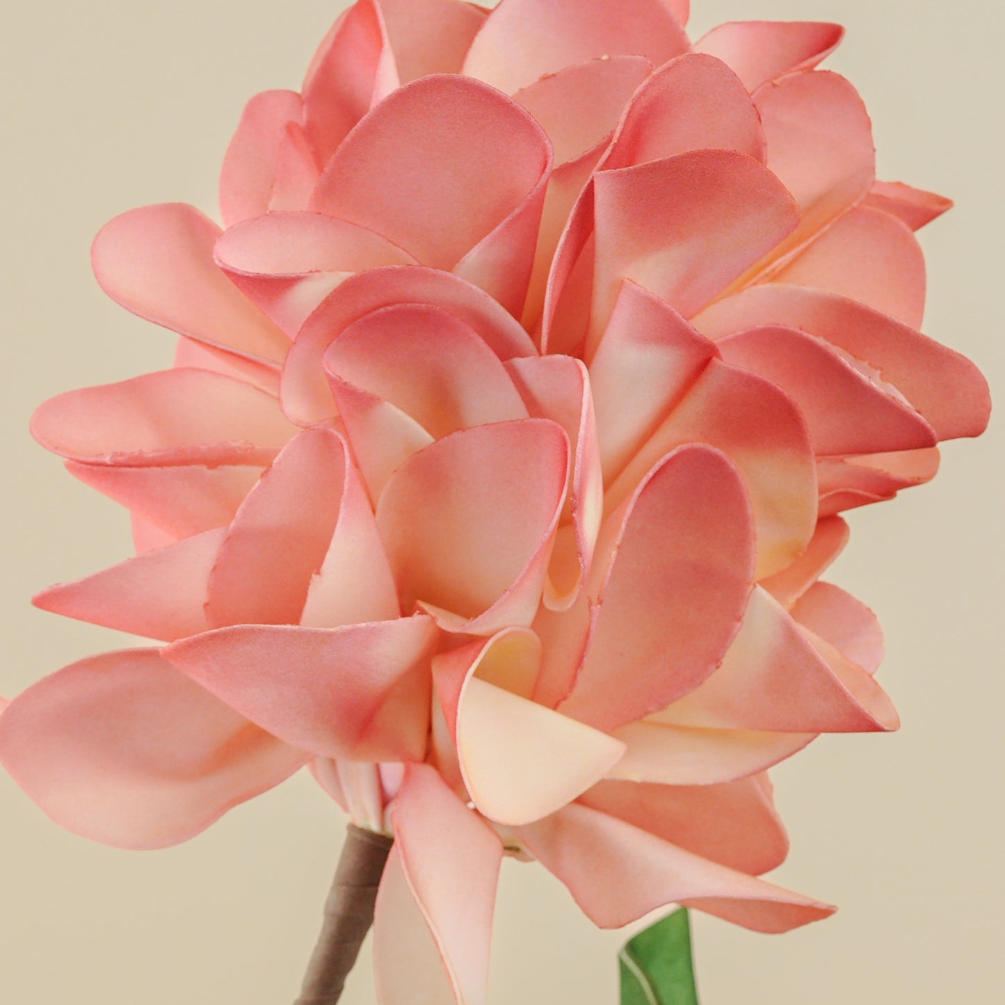 Chrysanthemum Foam Flower (Red & Off White)