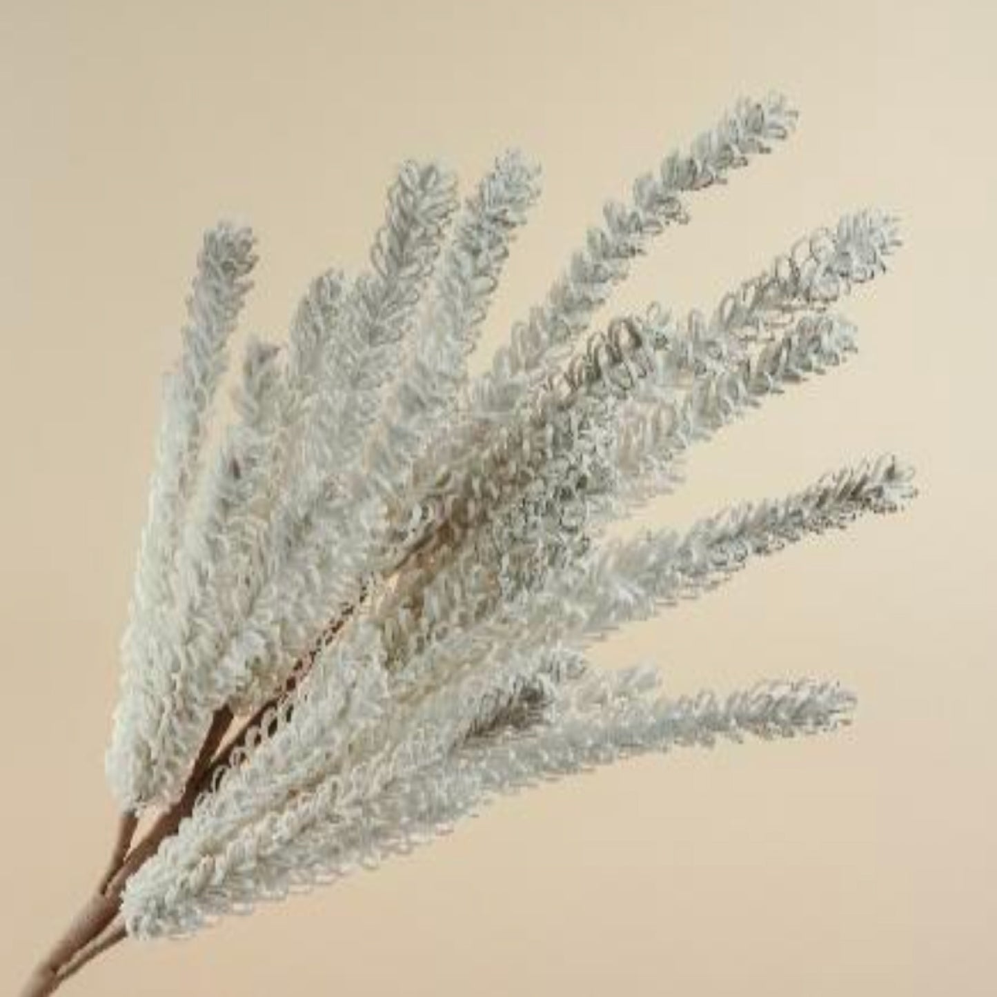 Pampas Reed Stem Faux Foam Flower (Grey & White)