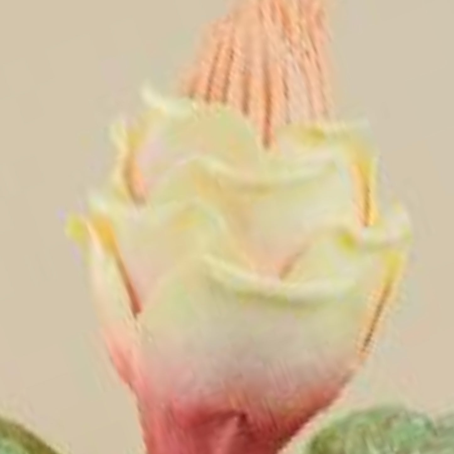 Rose Faux Foam Flower (Pink & Cream)
