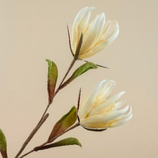 Magnolia Champaca Faux Foam Flower (Cream)