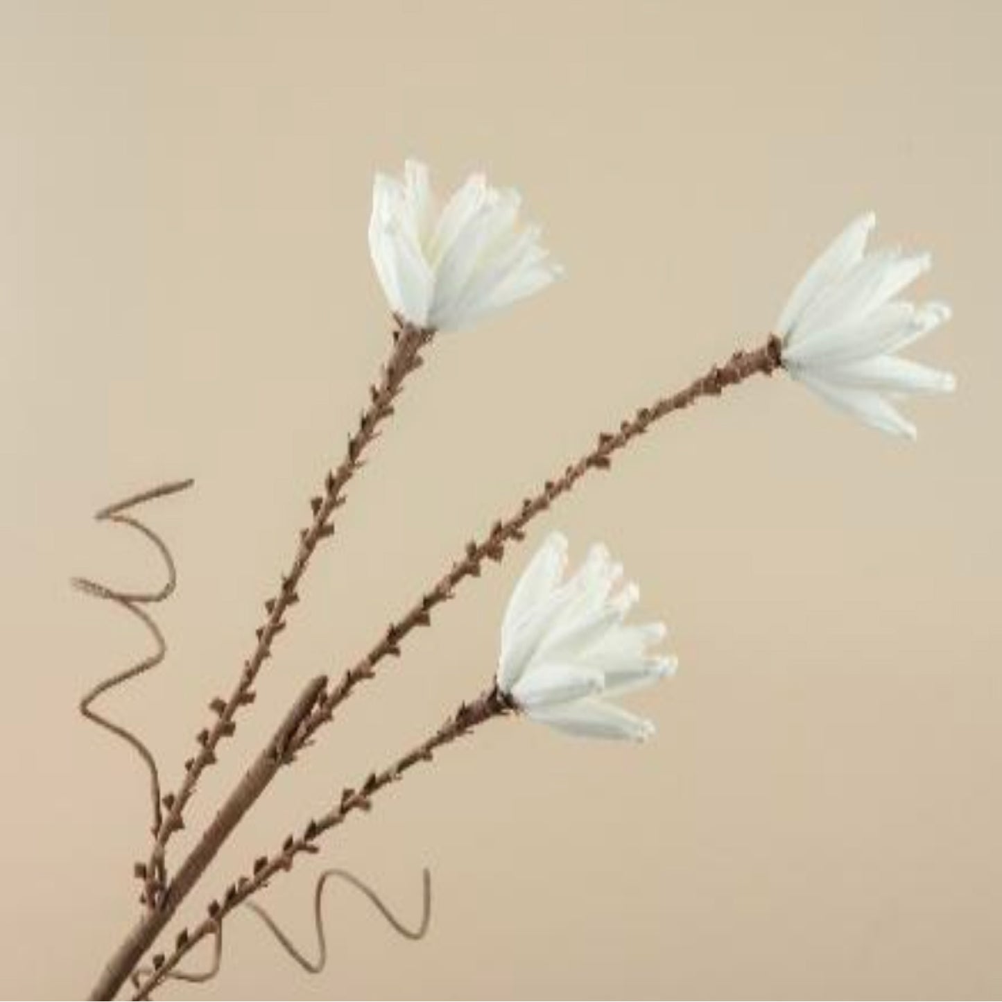 Magnolia Stellata Faux Foam Flower (White)