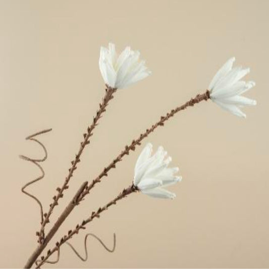 Magnolia Stellata Faux Foam Flower (White)