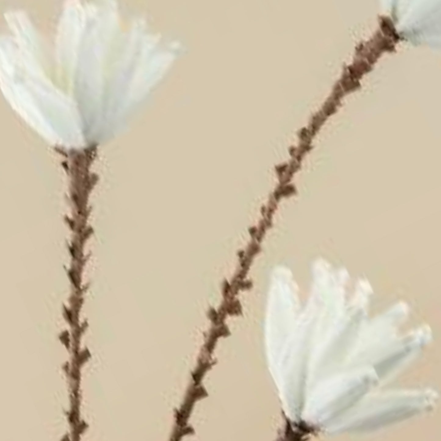 Magnolia Stellata Faux Foam Flower (White)