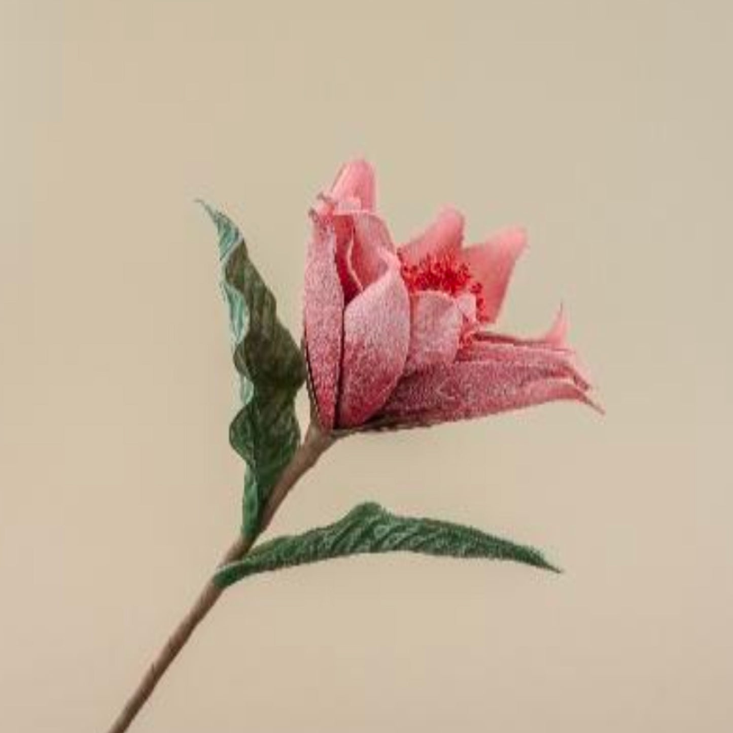Sunset Safari Foam Flower (Pink)