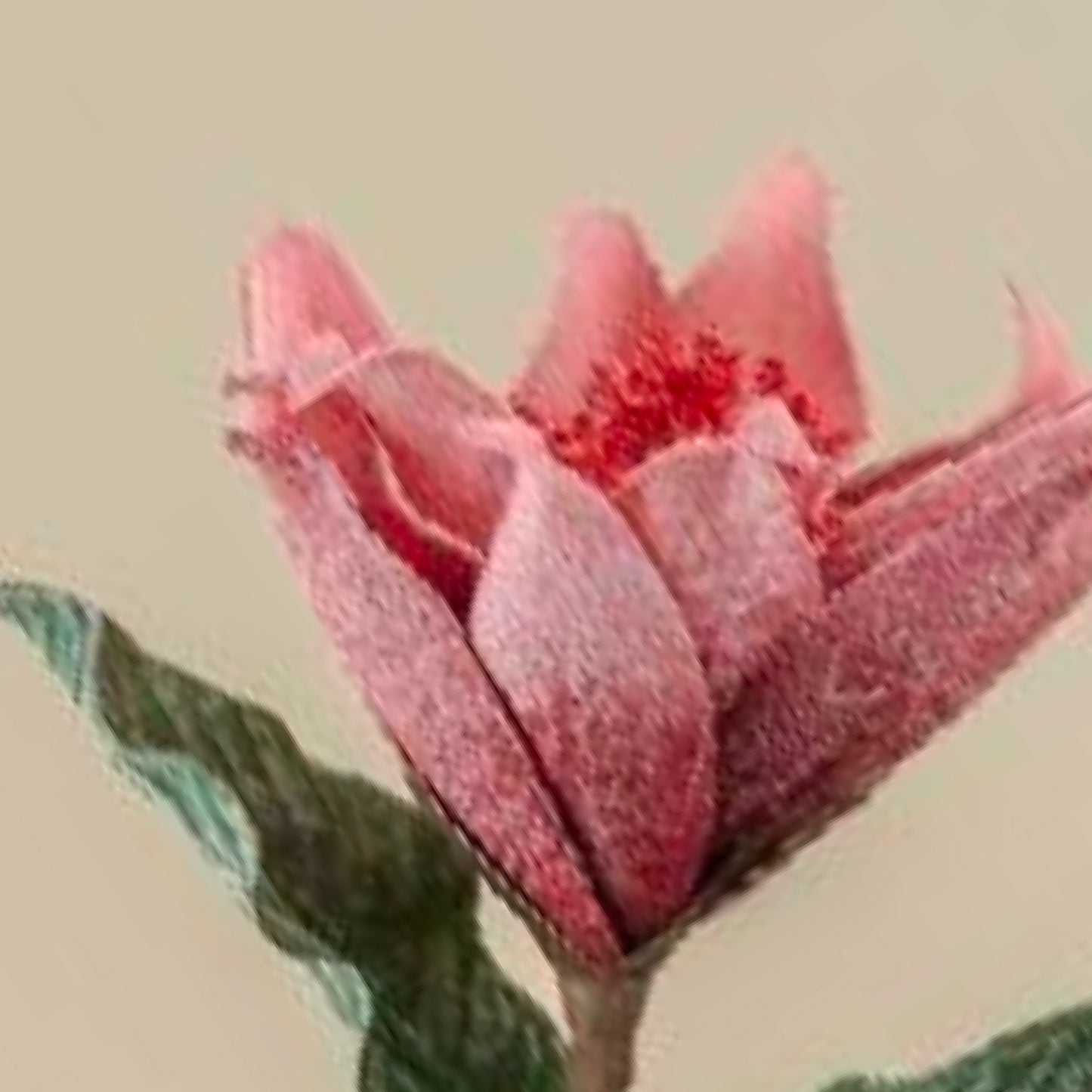 Sunset Safari Foam Flower (Pink)