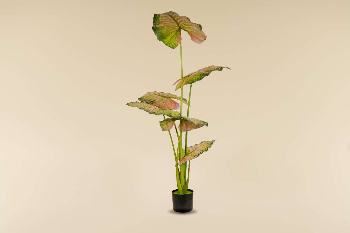 Artificial Taro