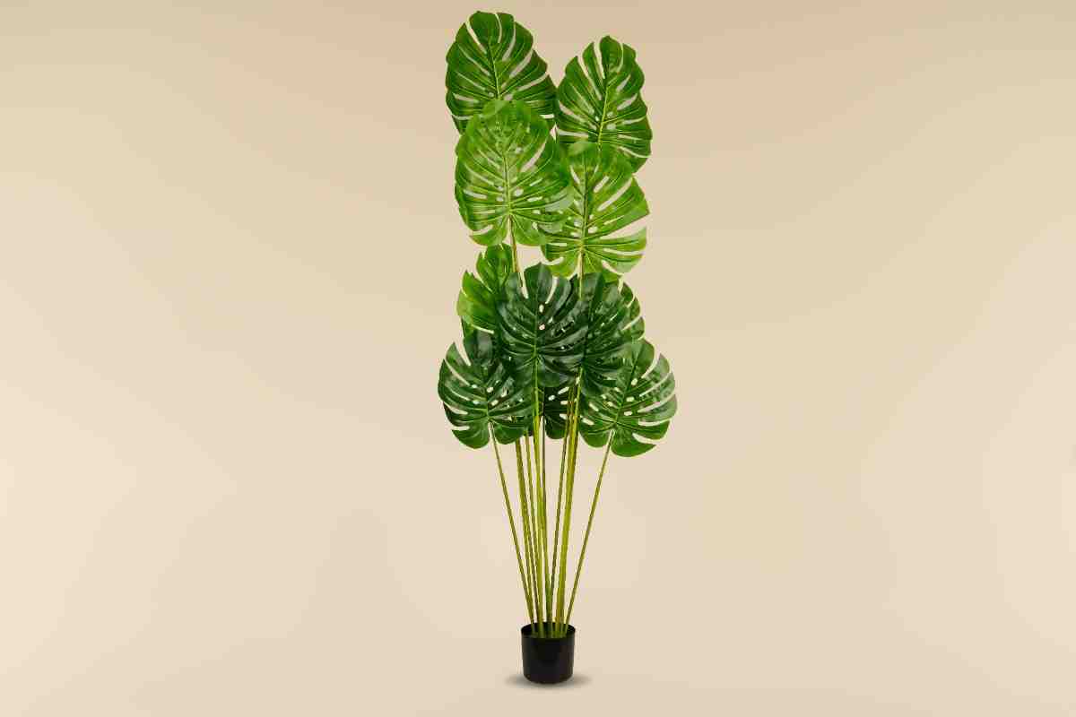 Artificial Monstera (12 Leaves - 5.2 Feet)