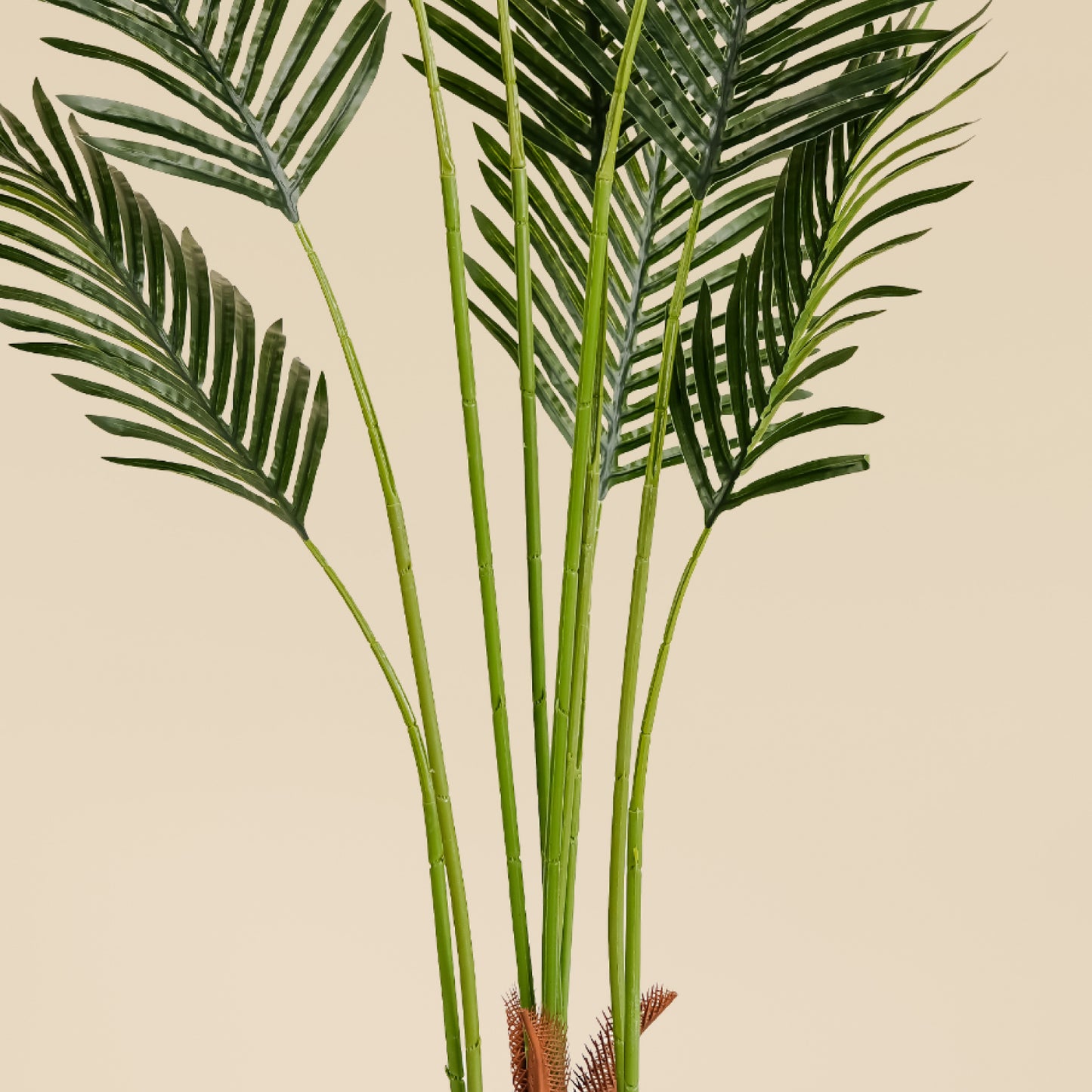 Areca Palm (9 leaves)