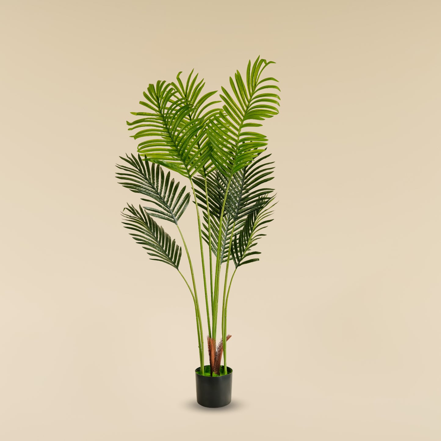 Areca Palm (9 leaves)
