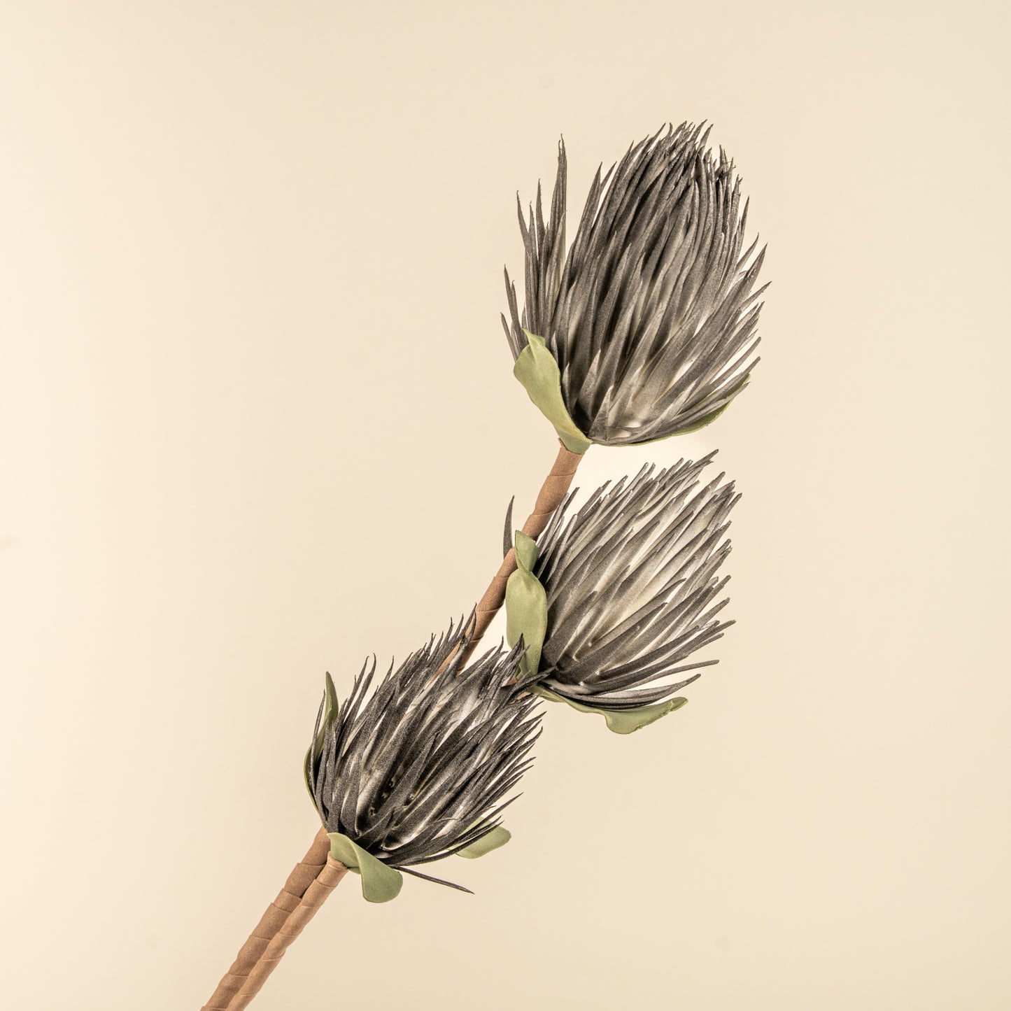 Full moon Protea Faux Foam Flower (Black)