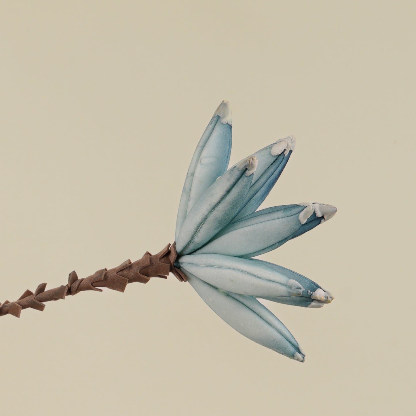 Magnolia Stellata Faux Foam Flower (Light Blue)