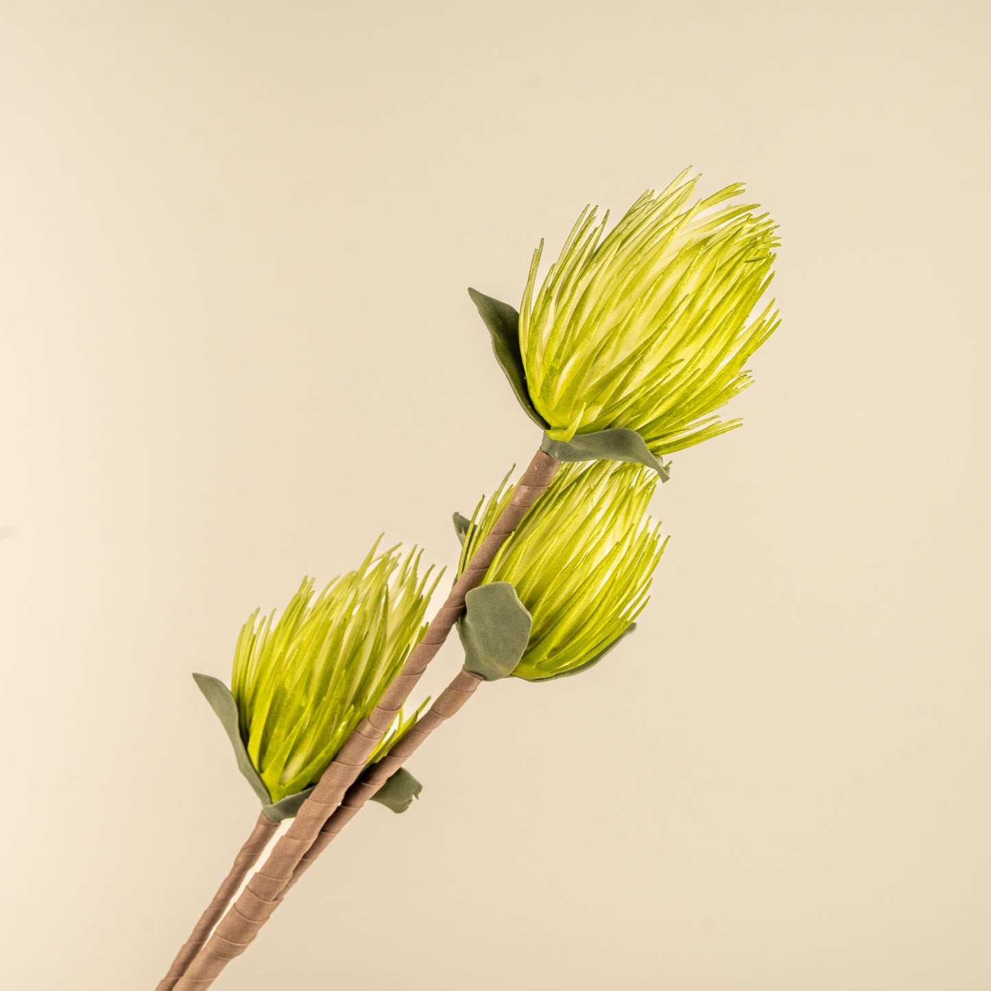 Full moon Protea Faux Foam Flower (Green)