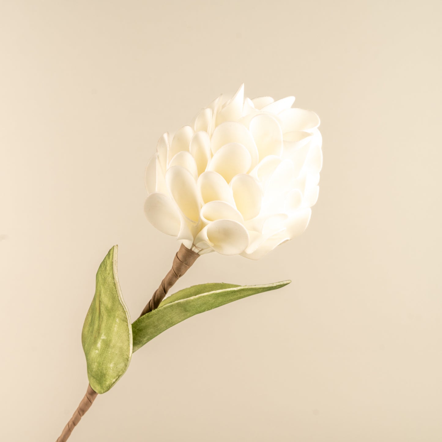 Chrysanthemum Foam Flower (White)