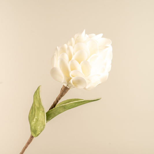 Chrysanthemum Foam Flower (White)