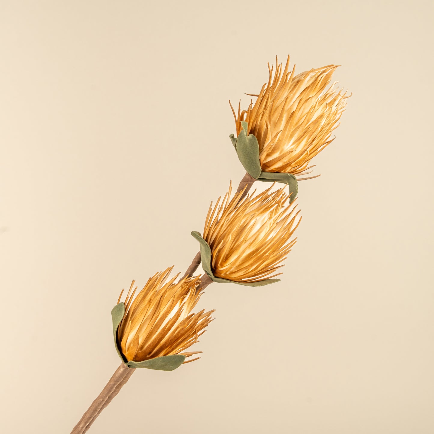 Full moon Protea Faux Foam Flower (Mustard)