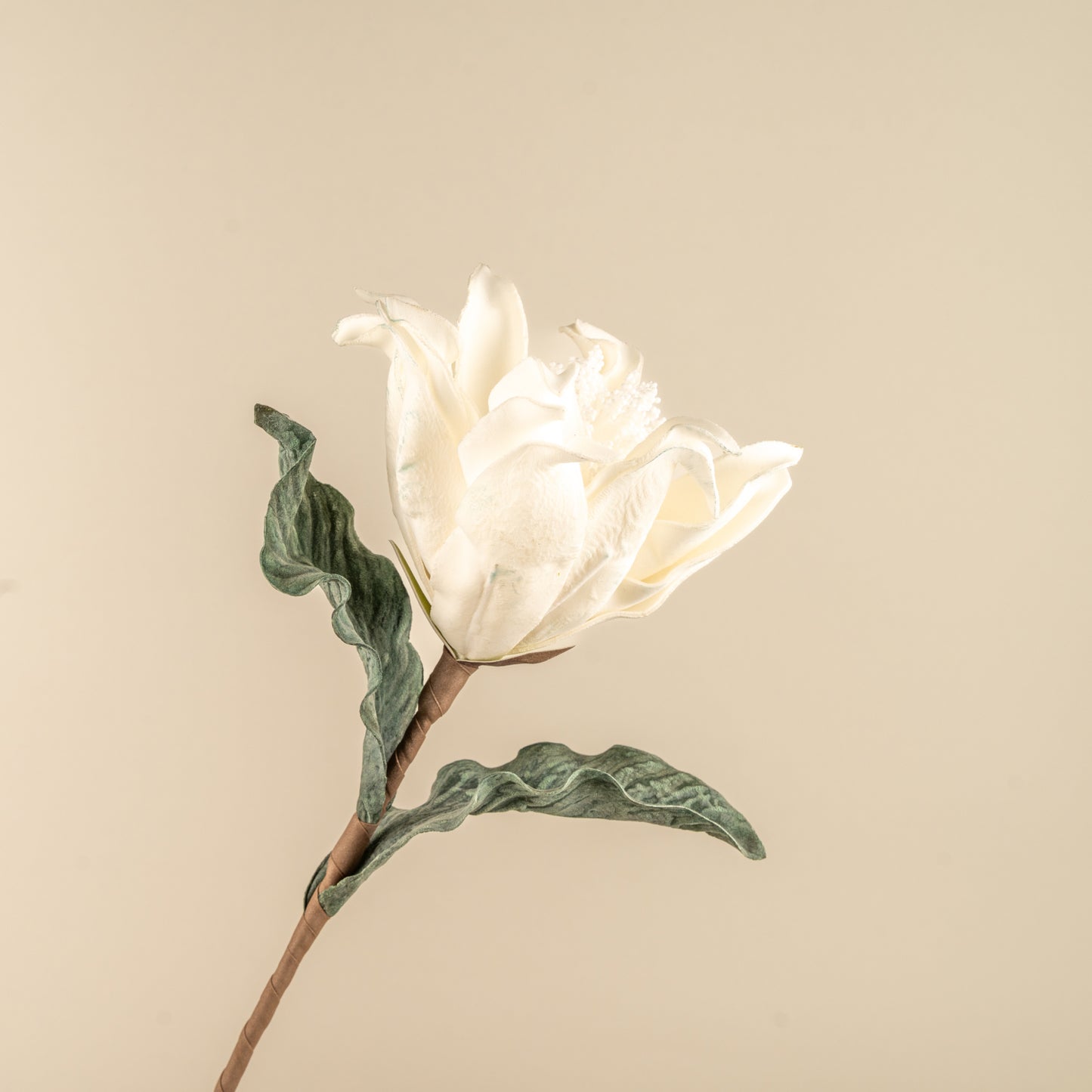 Sunset Safari Foam Flower (White)