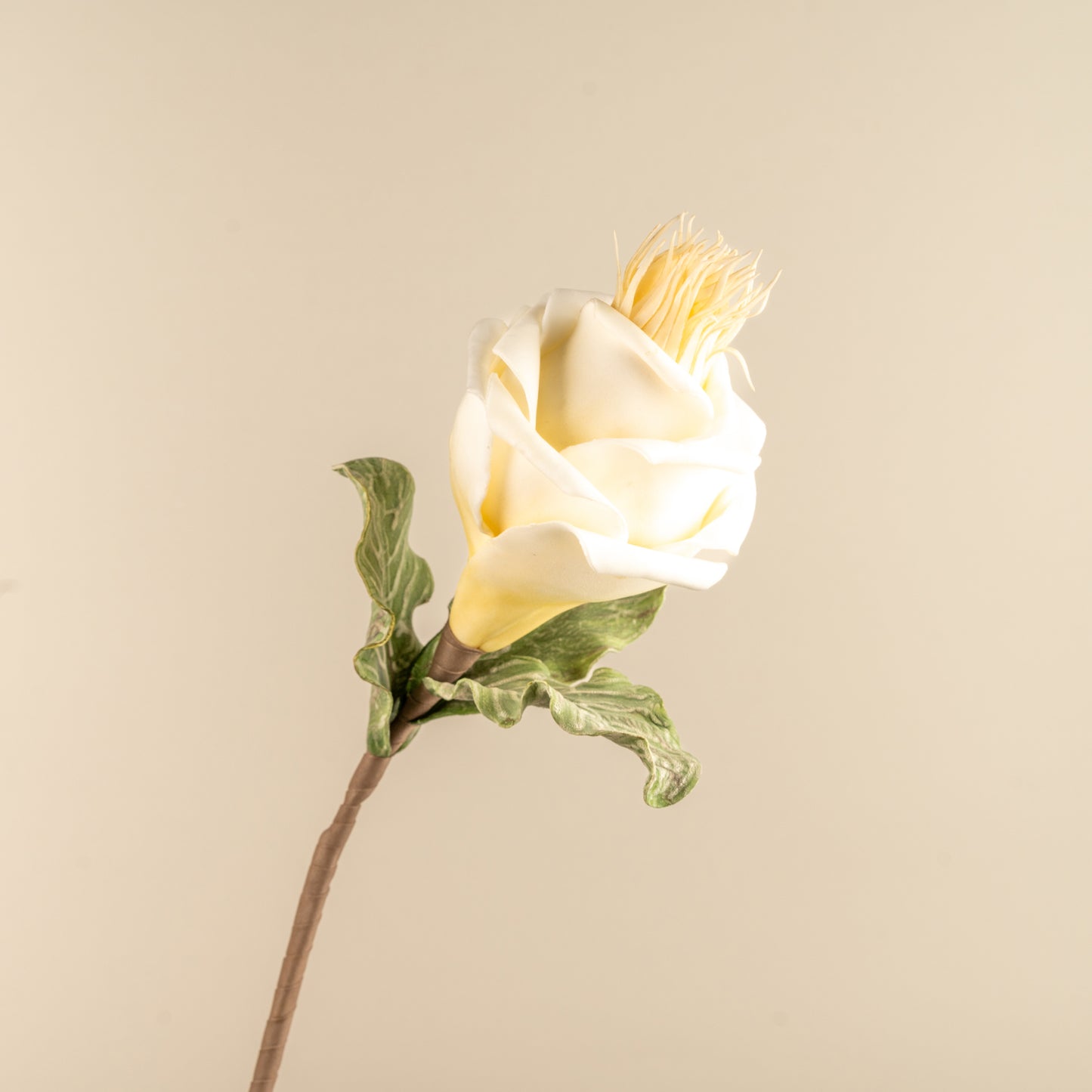 Rose Faux Foam Flower (White & Cream)