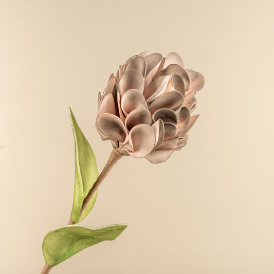 Chrysanthemum Foam Flower (Ash)