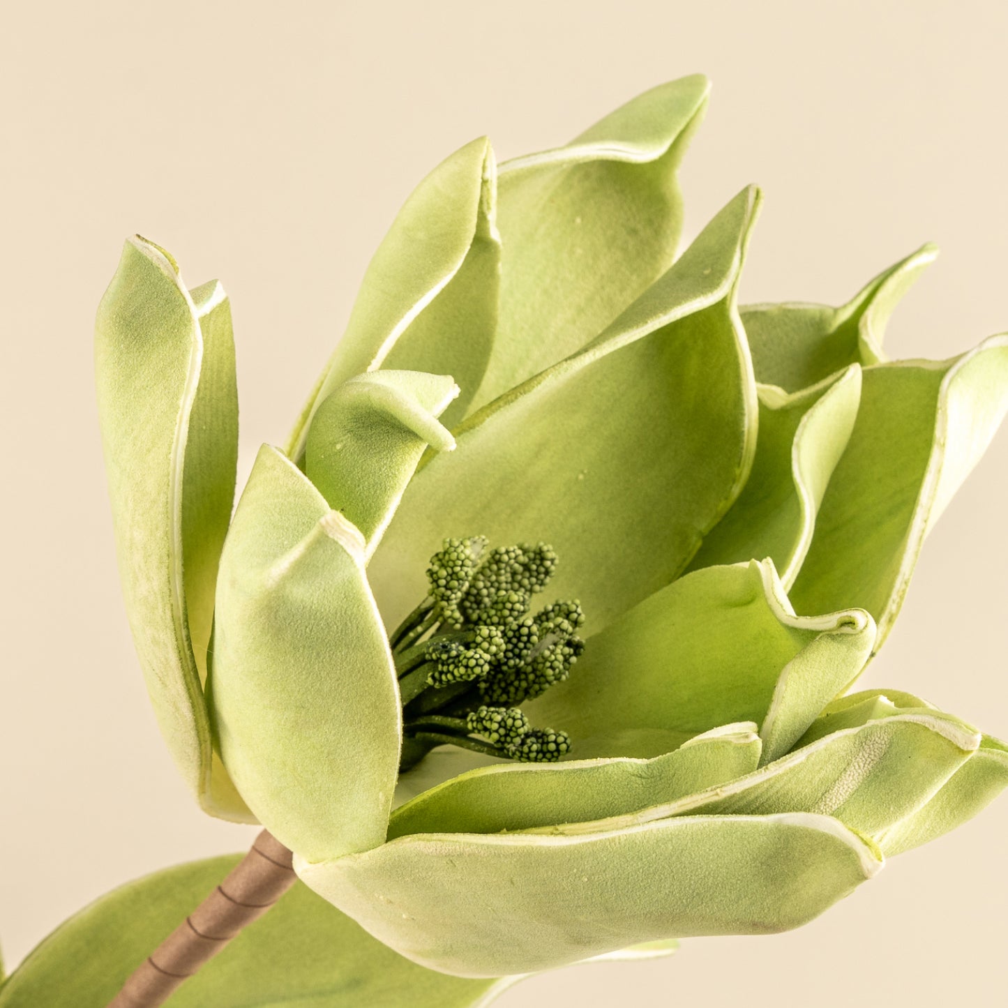 Sunflower faux Foam Flower (Green)