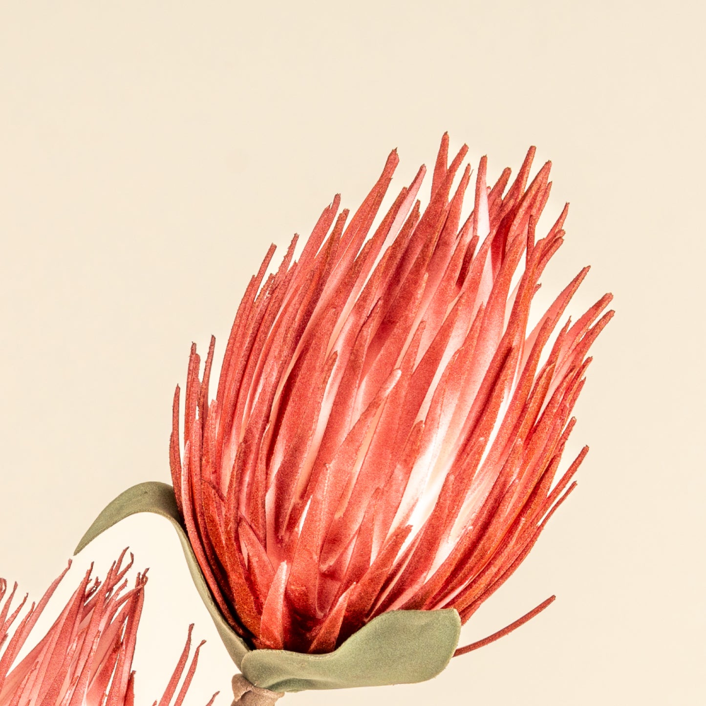 Full Moon Protea Faux Foam Flower (Red)