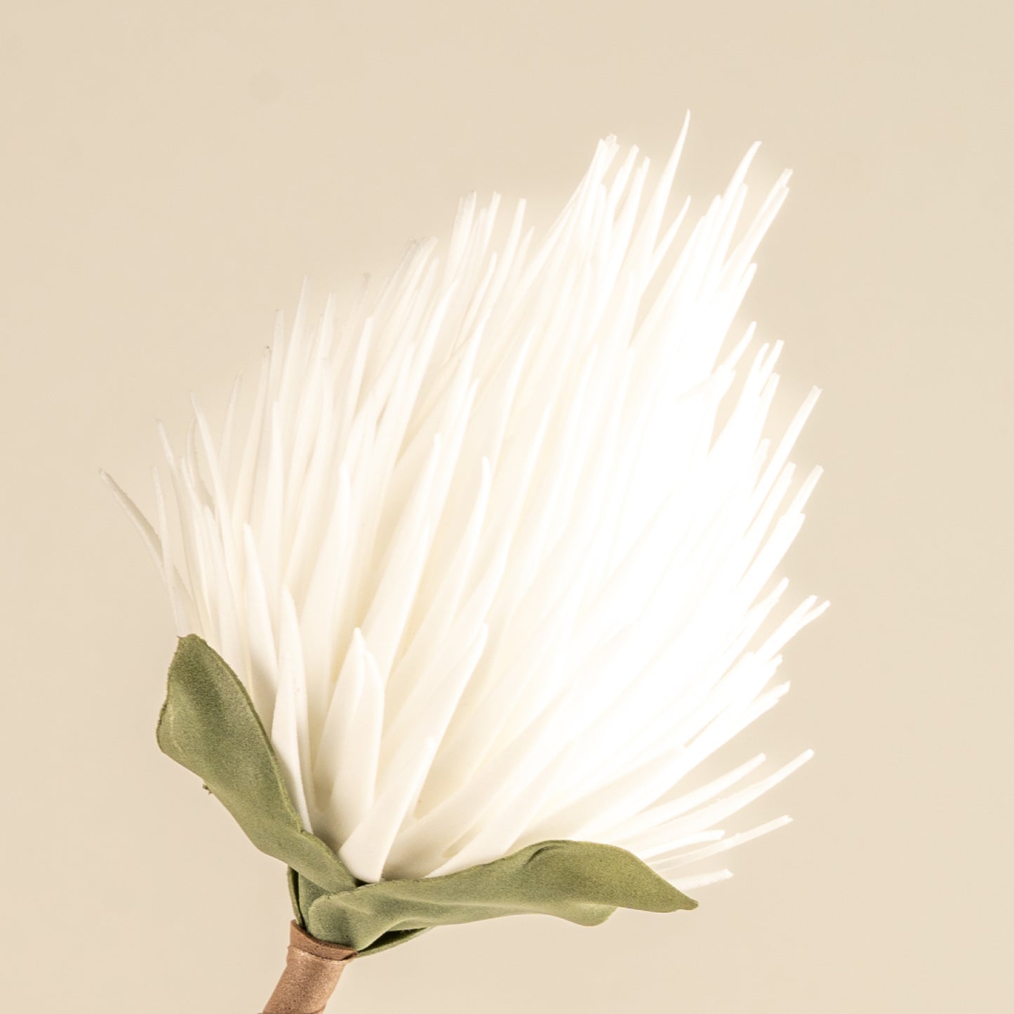 Full moon Protea Faux Foam Flower (White)