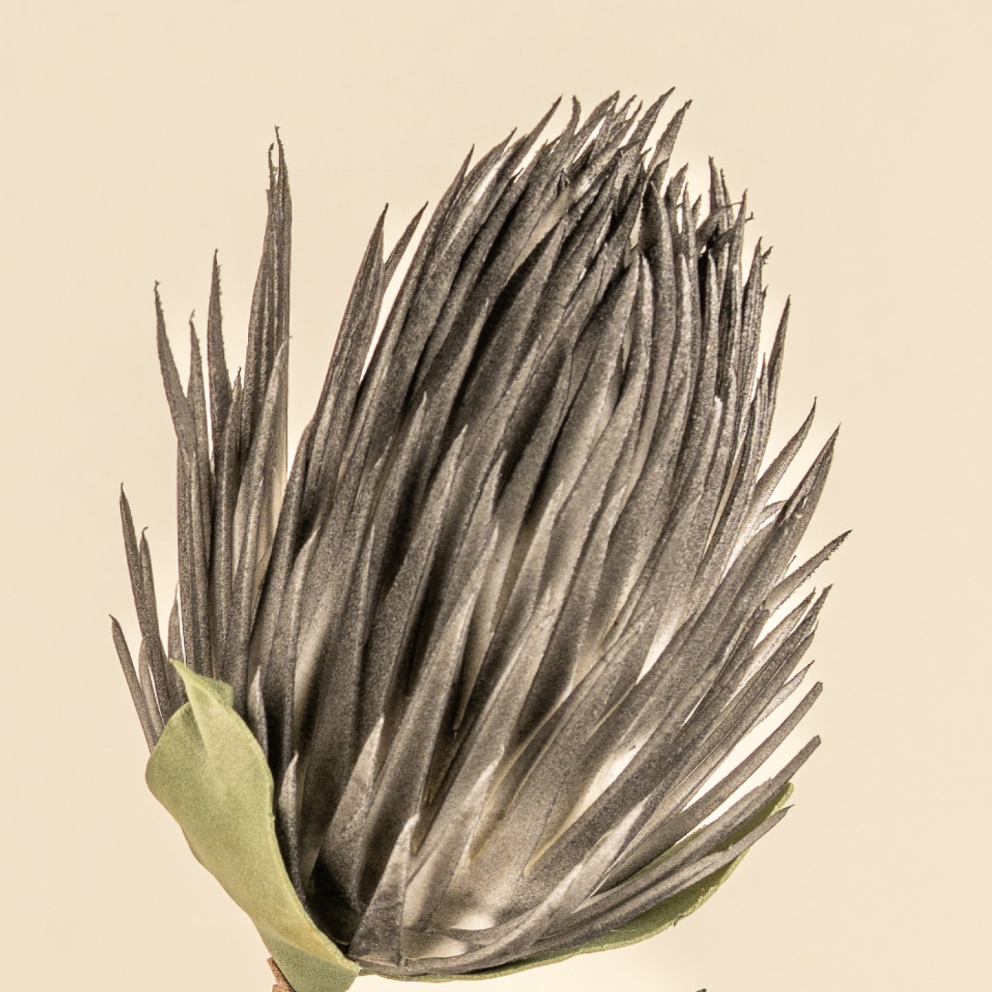 Full moon Protea Faux Foam Flower (Black)
