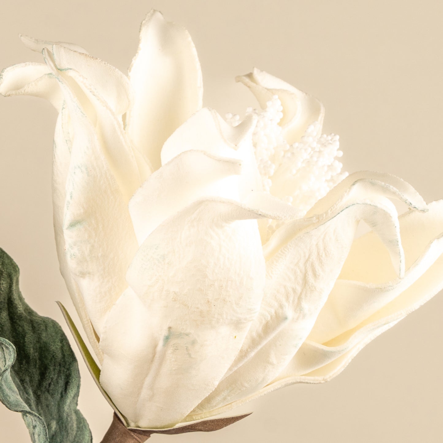 Sunset Safari Foam Flower (White)
