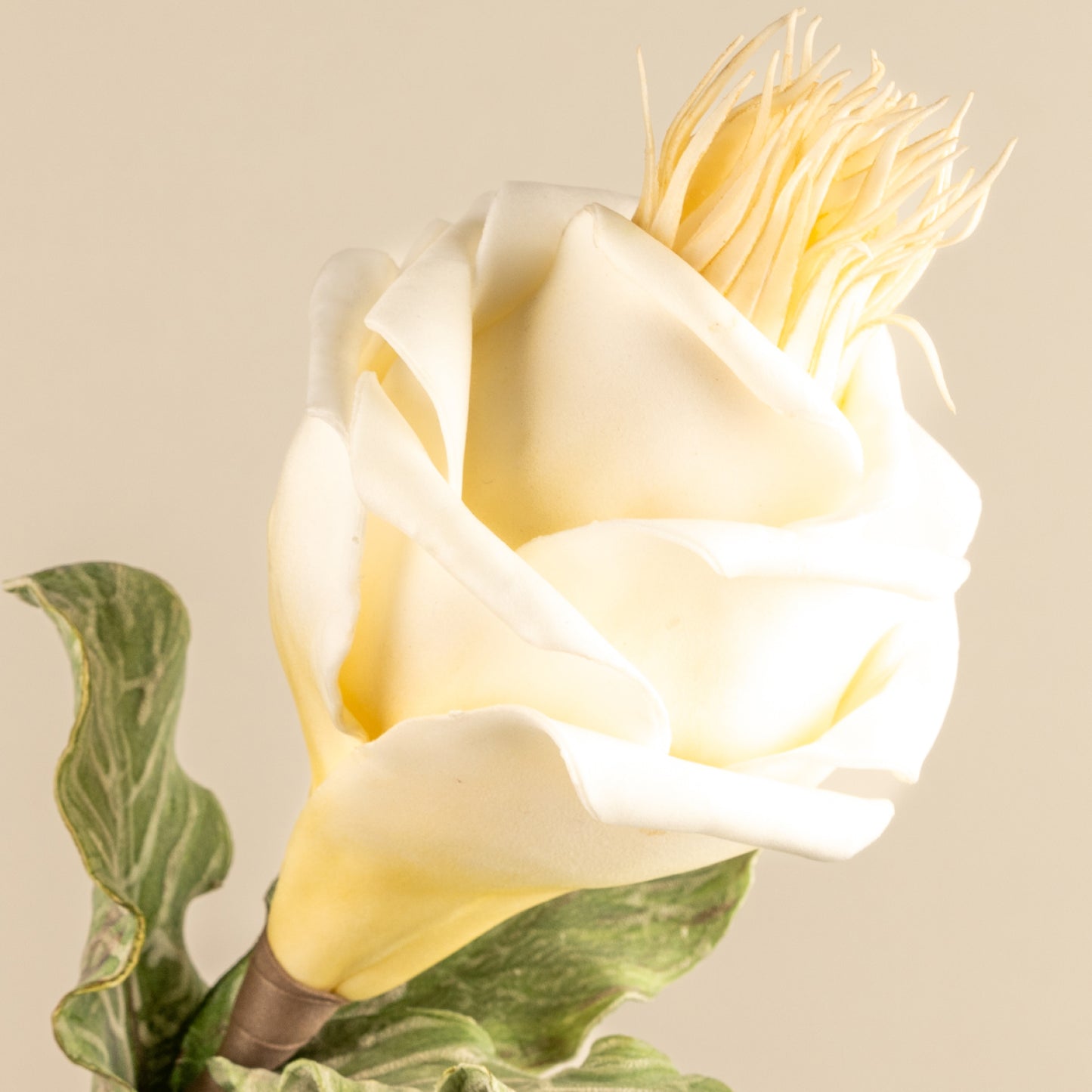 Rose Faux Foam Flower (White & Cream)