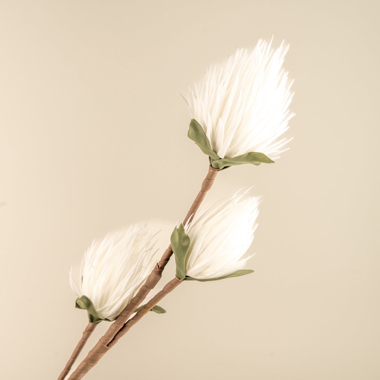 Full moon Protea Faux Foam Flower (White)