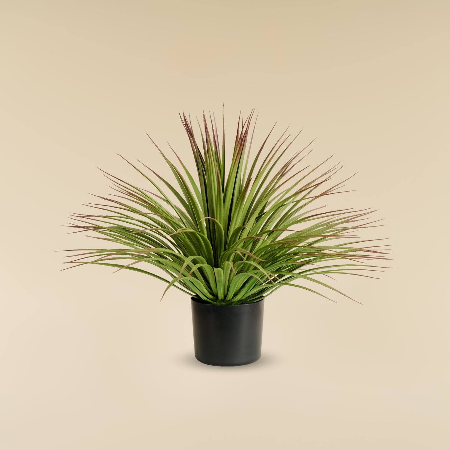 Green Yucca Plant (170 Leaves)