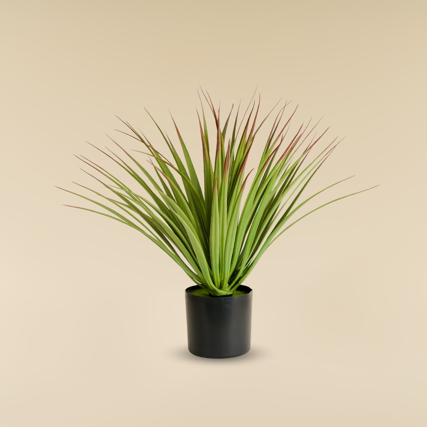 Green Yucca Plant (70 Leaves)
