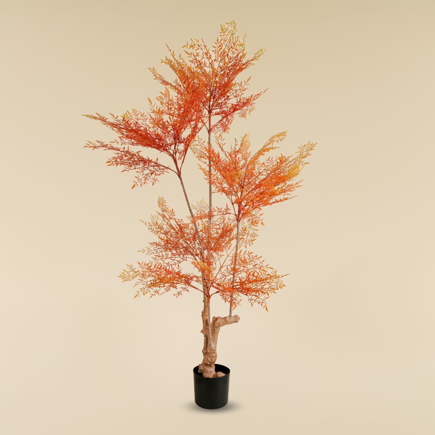 Heavenly Bamboo (Autumn) 6.4 Feet