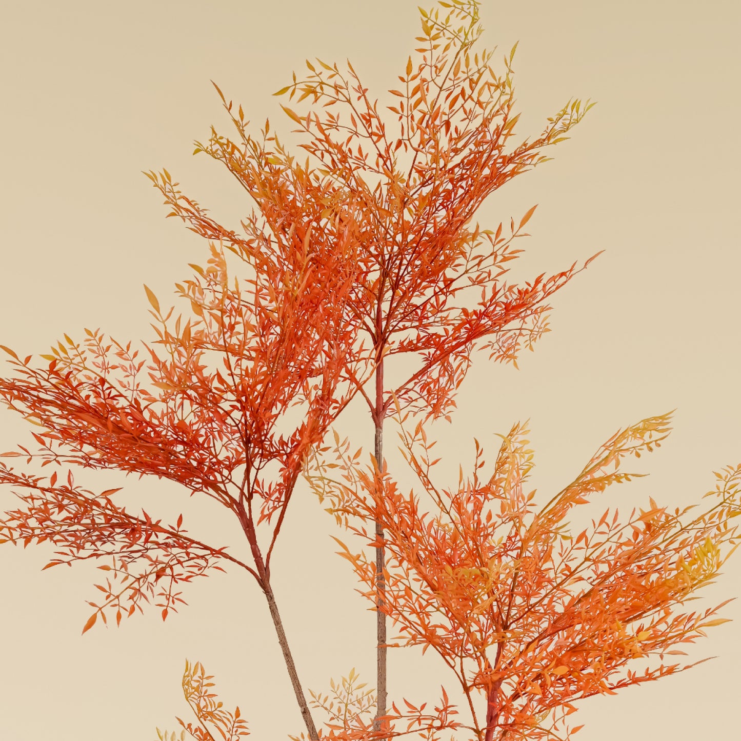 Heavenly Bamboo (Autumn) 6.4 Feet