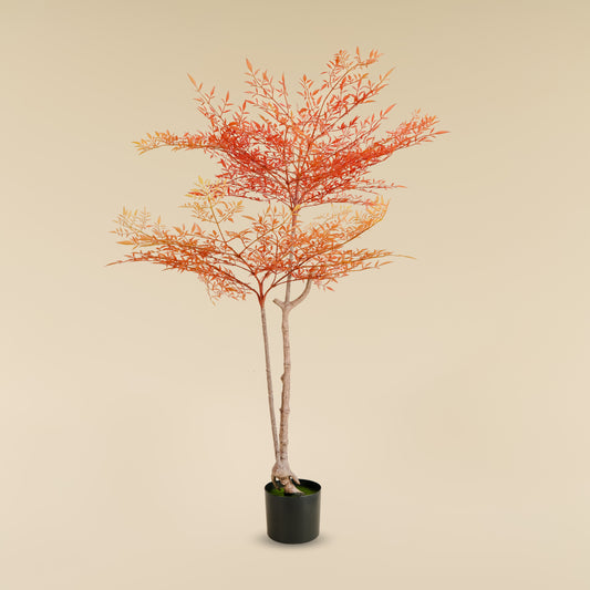 Heavenly Bamboo (Autum) 5.6 Feet