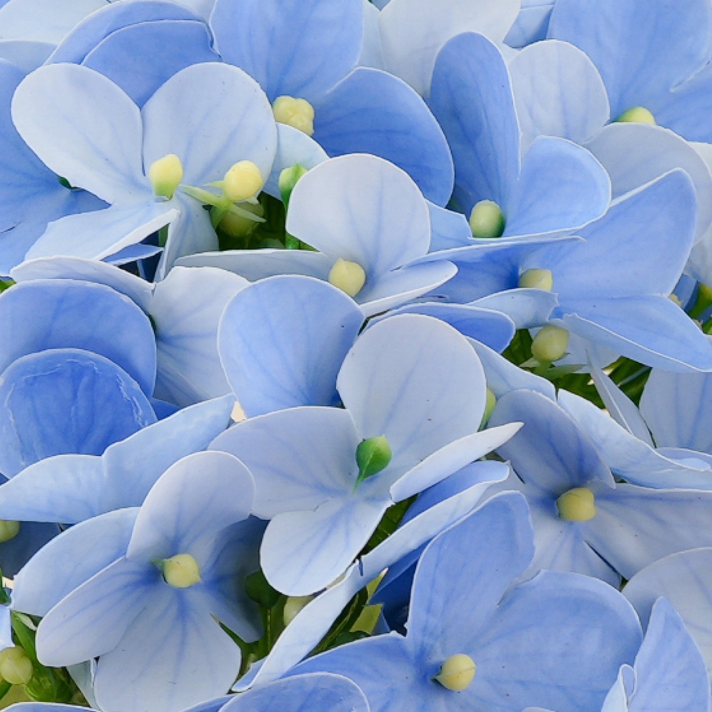 Artificial 3D real-touch Hydrangea (Light Blue)