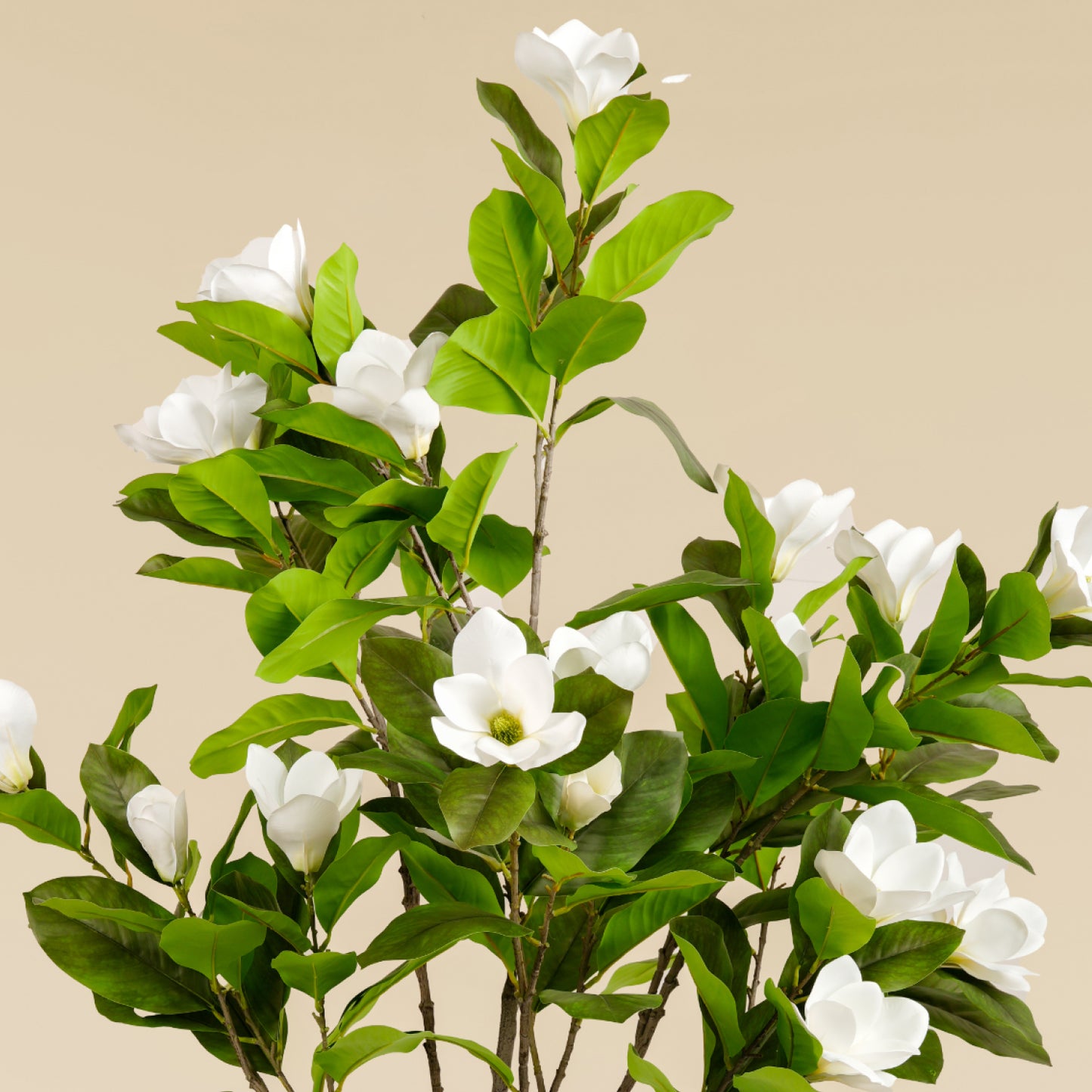 Artificial Magnolia Tree (Green Leaf)